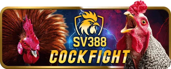 Cộng đồng đá gà 99go